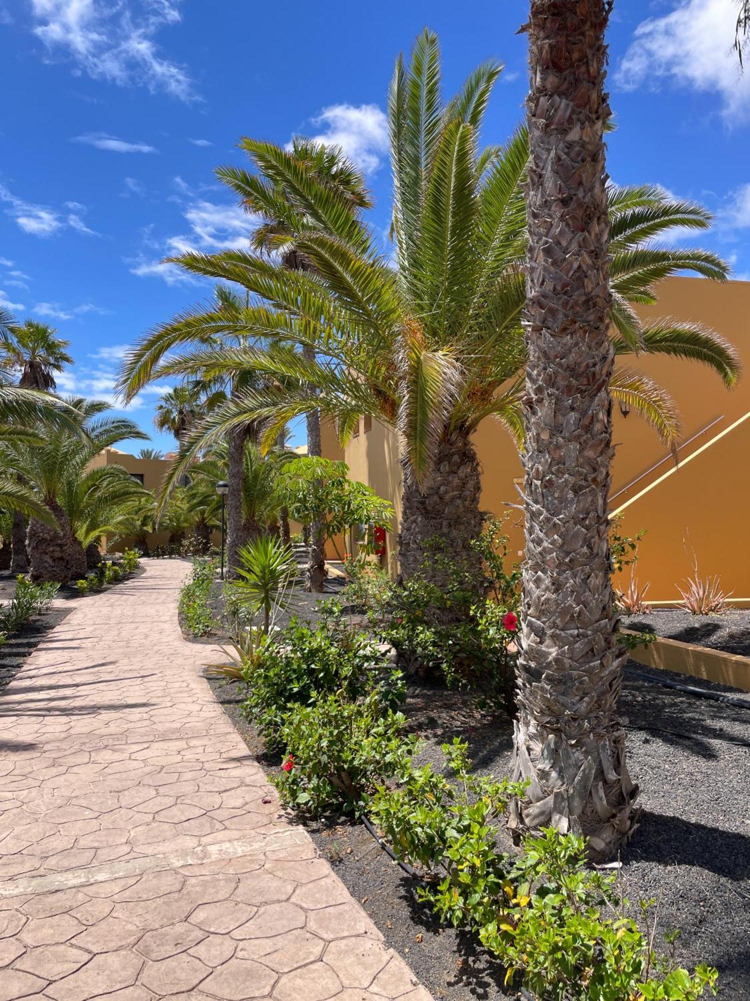 Appartamento B-Rent Casa Angela Pool View Corralejo Esterno foto